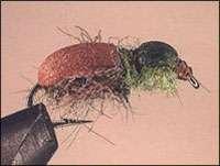 нахлыстовая мушка Sinking Japanese Beetle